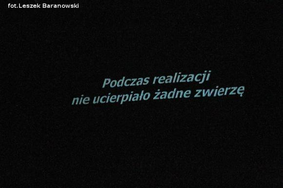 LSA cz.2 Teatr mój widzę ogromny ...