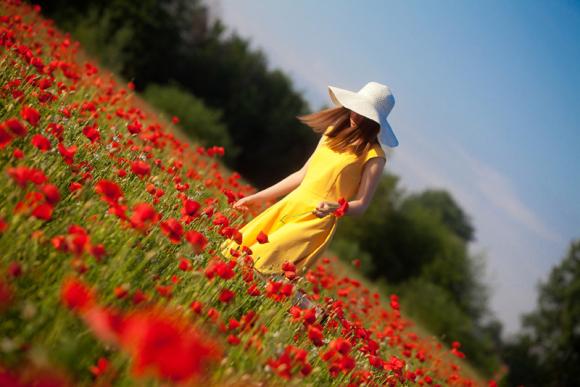 Laureaci konkursu fotograficznego Kwiaty w obiektywie