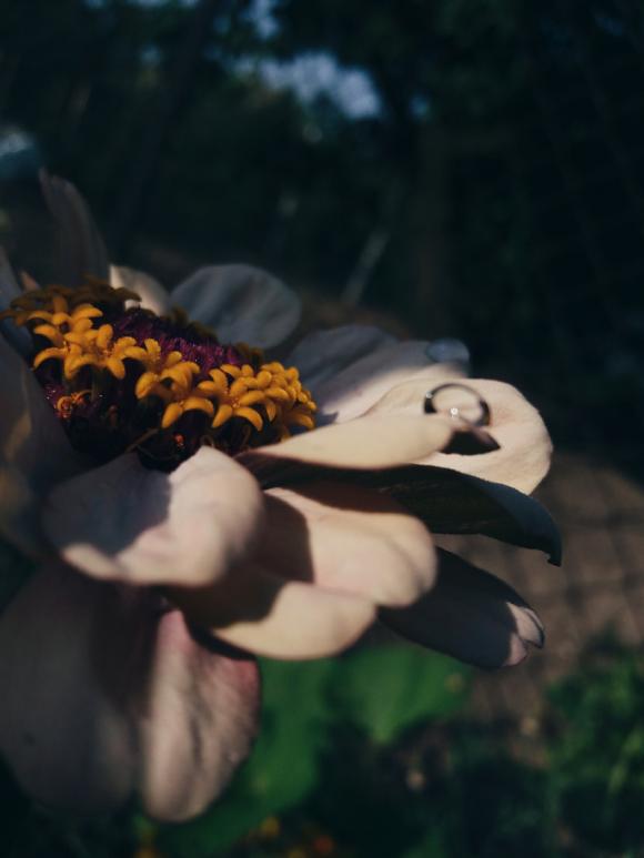 Laureaci konkursu fotograficznego Kwiaty w obiektywie