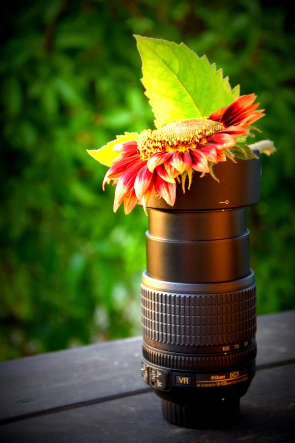 Laureaci konkursu fotograficznego Kwiaty w obiektywie