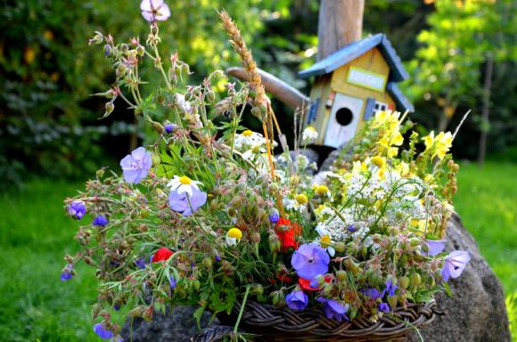 Laureaci konkursu fotograficznego Kwiaty w obiektywie