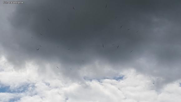 Łukasz Wójcik z Kutna piąty na świecie!