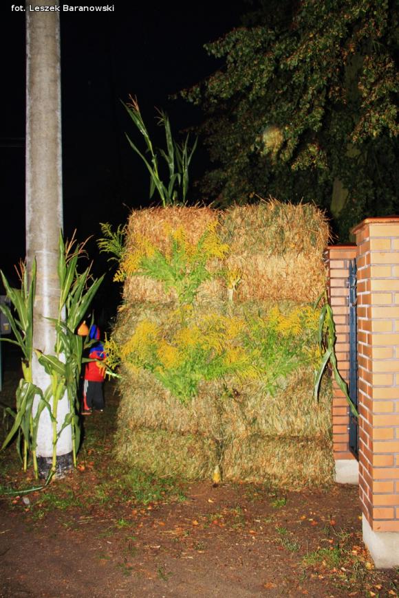 Dożynki wojewódzkie, a na nich nasze zespoły folklorystyczne