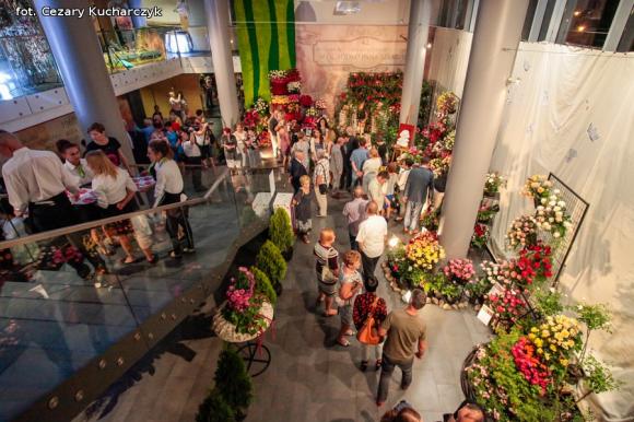 Różane święto w ogródku Pana Szekspira uroczyście otwarte