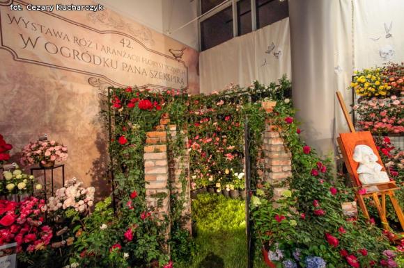 Różane święto w ogródku Pana Szekspira uroczyście otwarte