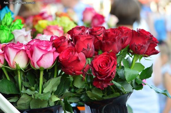 Pierwszy dzień Święta Róży okiem Piotra Szatkowskiego