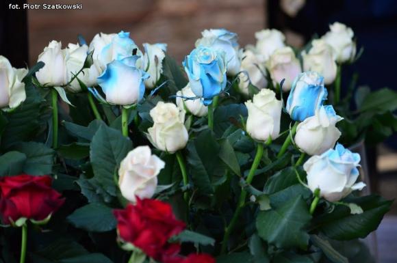 Pierwszy dzień Święta Róży okiem Piotra Szatkowskiego