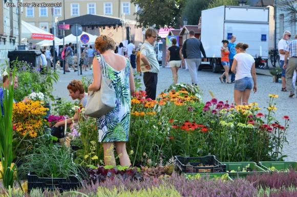 Pierwszy dzień Święta Róży okiem Piotra Szatkowskiego