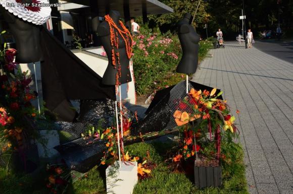 Pierwszy dzień Święta Róży okiem Piotra Szatkowskiego