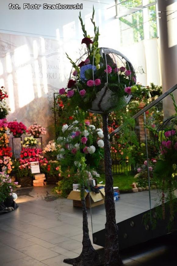 Pierwszy dzień Święta Róży okiem Piotra Szatkowskiego