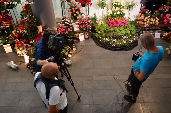 Pierwszy dzień Święta Róży okiem Piotra Szatkowskiego