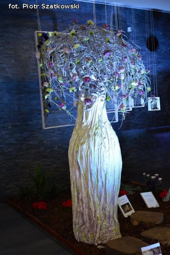 Pierwszy dzień Święta Róży okiem Piotra Szatkowskiego