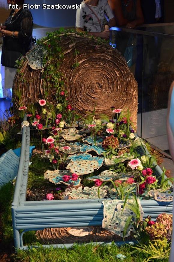 Pierwszy dzień Święta Róży okiem Piotra Szatkowskiego