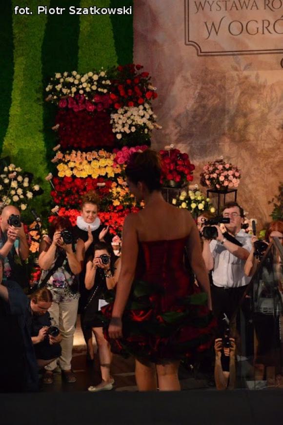 Pierwszy dzień Święta Róży okiem Piotra Szatkowskiego