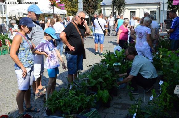 Laureaci Kwietnika, mistrz szybownik, baśniowe obrazy, zabawa w lunaparku. Co widział Piotr podczas drugiego dnia Święta Róży?