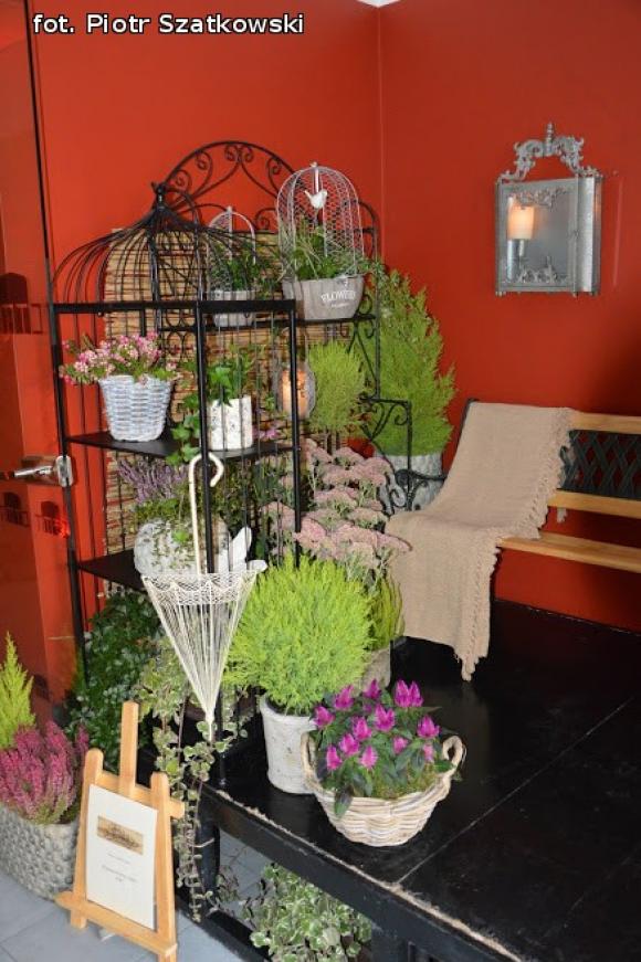 Laureaci Kwietnika, mistrz szybownik, baśniowe obrazy, zabawa w lunaparku. Co widział Piotr podczas drugiego dnia Święta Róży?