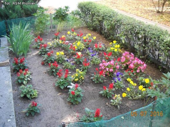 Najładniejsze balkony i ogródki lokatorów RSM Pionier