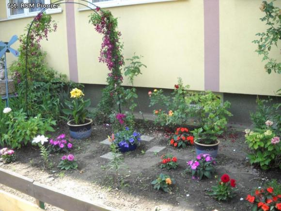 Najładniejsze balkony i ogródki lokatorów RSM Pionier