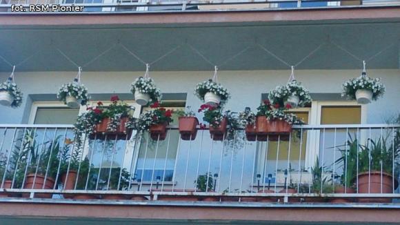 Najładniejsze balkony i ogródki lokatorów RSM Pionier