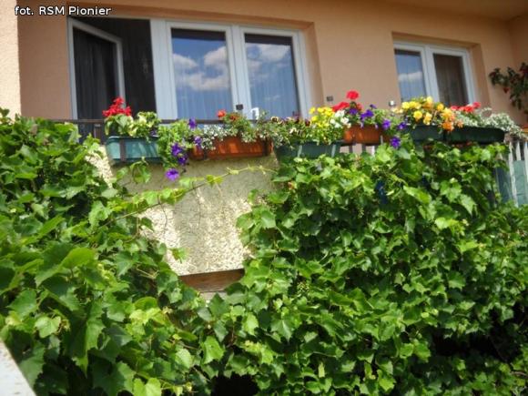 Najładniejsze balkony i ogródki lokatorów RSM Pionier