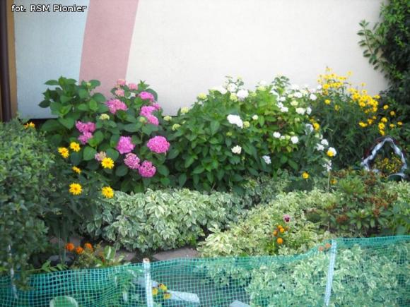 Najładniejsze balkony i ogródki lokatorów RSM Pionier