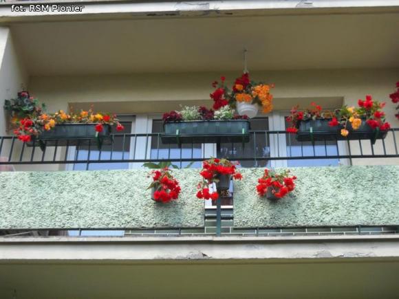 Najładniejsze balkony i ogródki lokatorów RSM Pionier