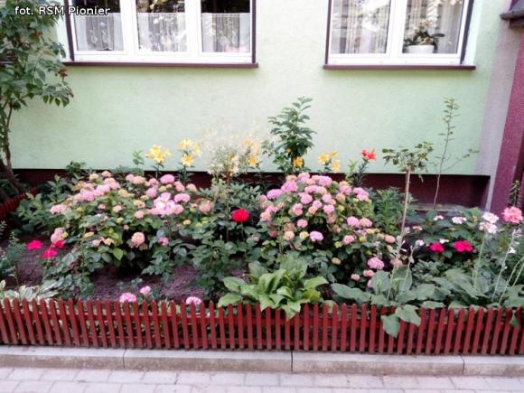 Najładniejsze balkony i ogródki lokatorów RSM Pionier