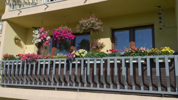 Najładniejsze balkony i ogródki lokatorów RSM Pionier
