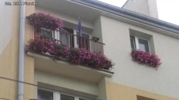 Najładniejsze balkony i ogródki lokatorów RSM Pionier
