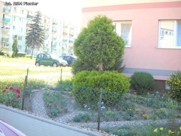 Najładniejsze balkony i ogródki lokatorów RSM Pionier