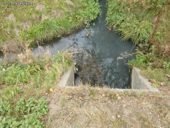 Z mega ubojni płynie czarna ciecz. WIOŚ robi badania