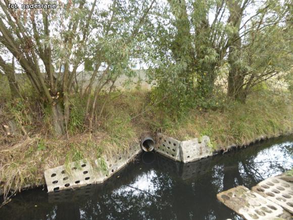 Z mega ubojni płynie czarna ciecz. WIOŚ robi badania