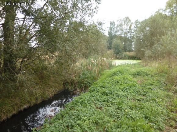 Z mega ubojni płynie czarna ciecz. WIOŚ robi badania