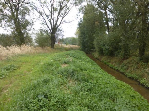 Z mega ubojni płynie czarna ciecz. WIOŚ robi badania