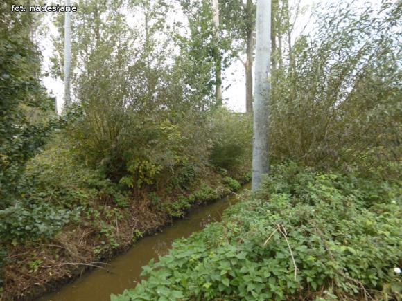 Z mega ubojni płynie czarna ciecz. WIOŚ robi badania