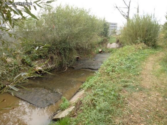 Z mega ubojni płynie czarna ciecz. WIOŚ robi badania