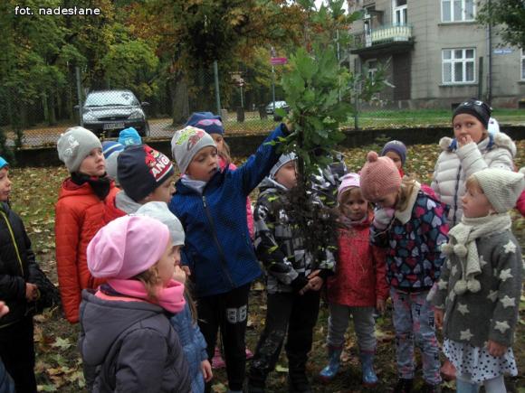 eKologia: Święto Drzewa w kutnowskim przedszkolu