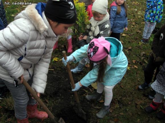 eKologia: Święto Drzewa w kutnowskim przedszkolu
