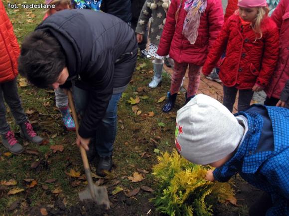 eKologia: Święto Drzewa w kutnowskim przedszkolu