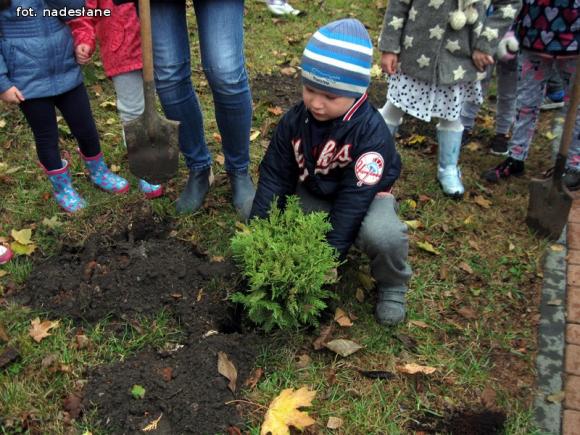 eKologia: Święto Drzewa w kutnowskim przedszkolu