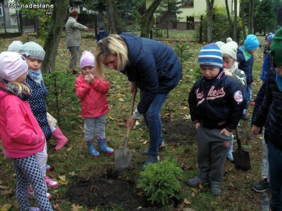 eKologia: Święto Drzewa w kutnowskim przedszkolu