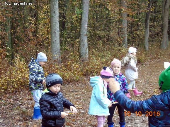 eKologia: Święto Drzewa w kutnowskim przedszkolu