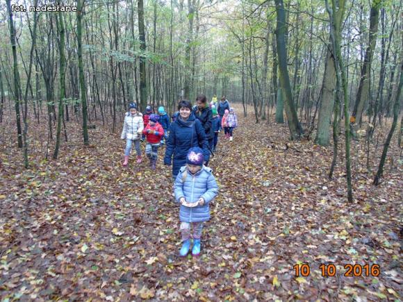 eKologia: Święto Drzewa w kutnowskim przedszkolu