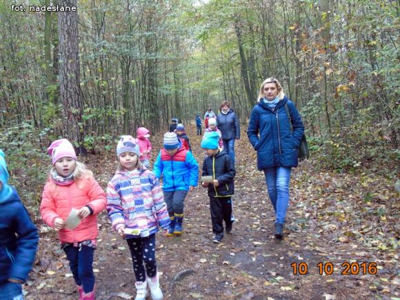 eKologia: Święto Drzewa w kutnowskim przedszkolu