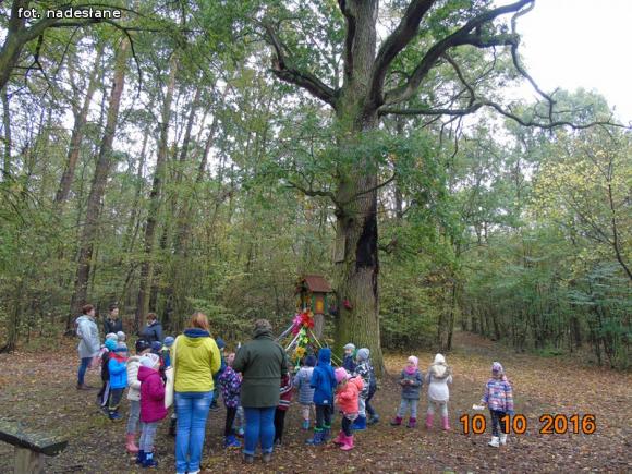 eKologia: Święto Drzewa w kutnowskim przedszkolu