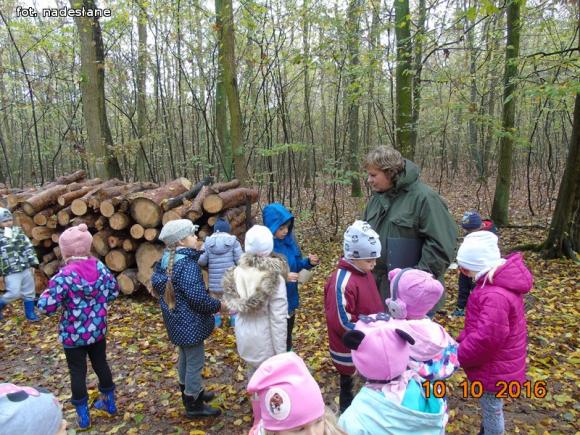 eKologia: Święto Drzewa w kutnowskim przedszkolu