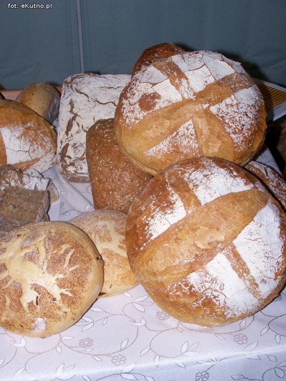 Trwają II Powiatowe Targi Pracy