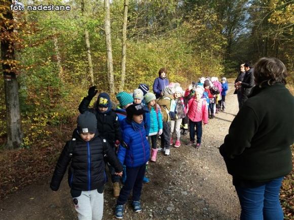 Przedszkolaki na ścieżce edukacyjnej w raciborowskim lesie
