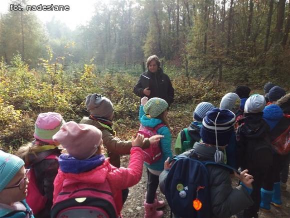 Przedszkolaki na ścieżce edukacyjnej w raciborowskim lesie