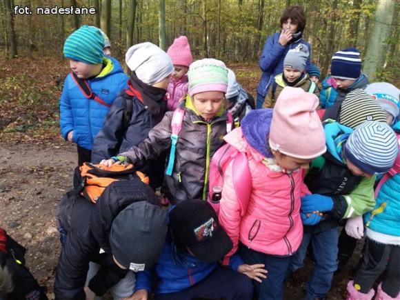 Przedszkolaki na ścieżce edukacyjnej w raciborowskim lesie